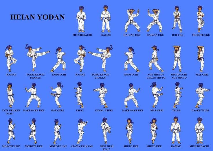 Purple belt kata outlet