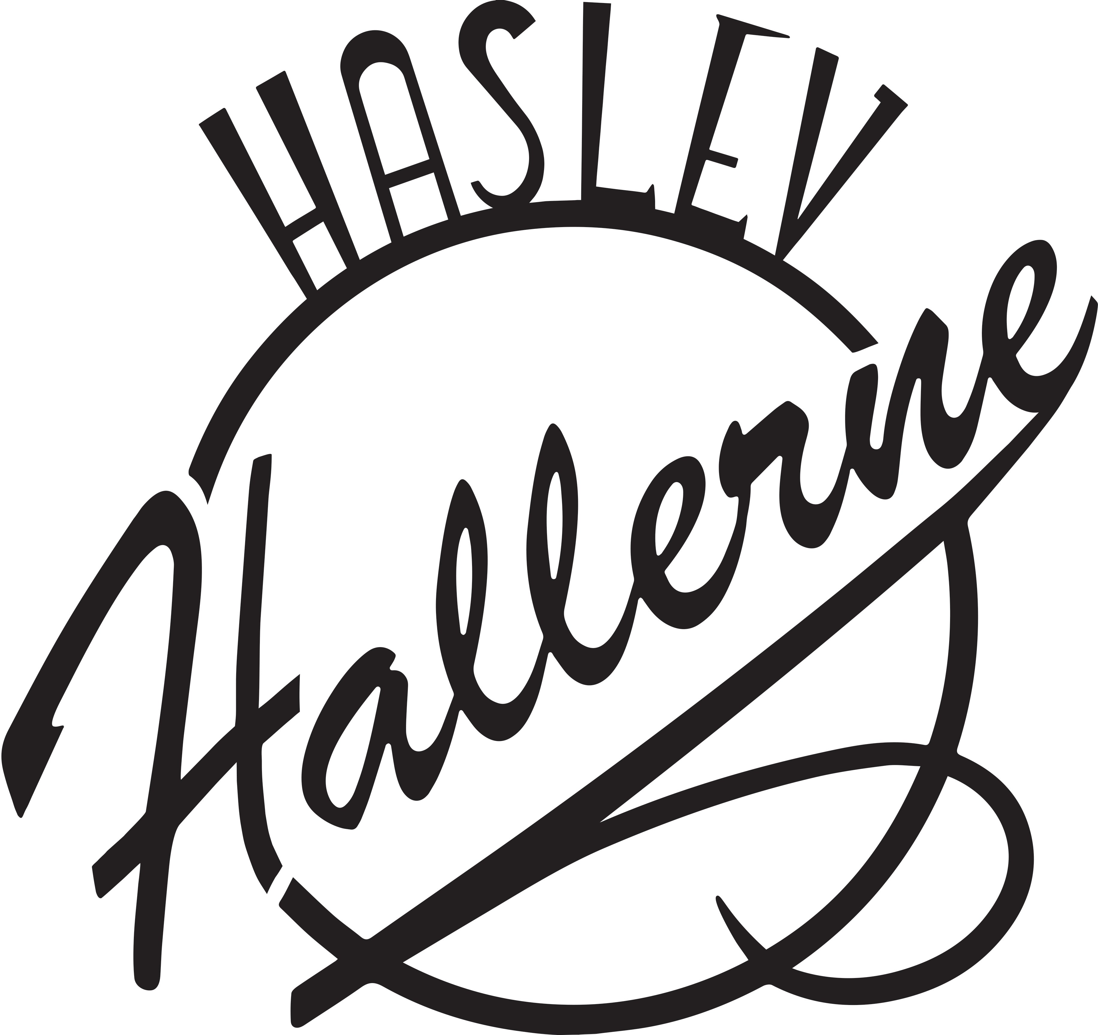 HASLEV-HALLERNE logo