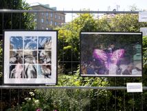 Nordiska Fotoskolan