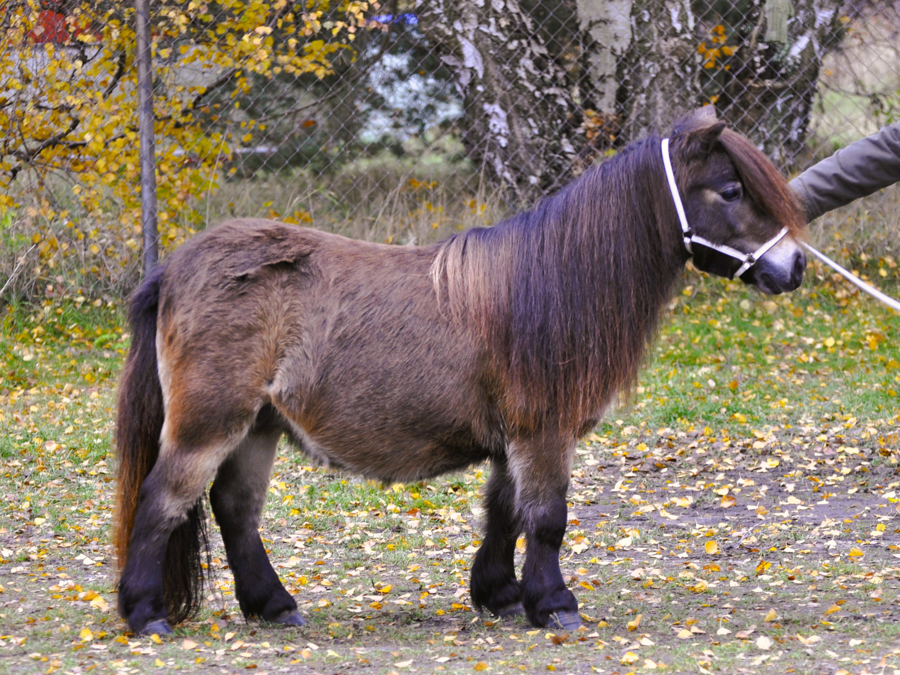 lkjuy