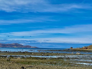 IMG_1320