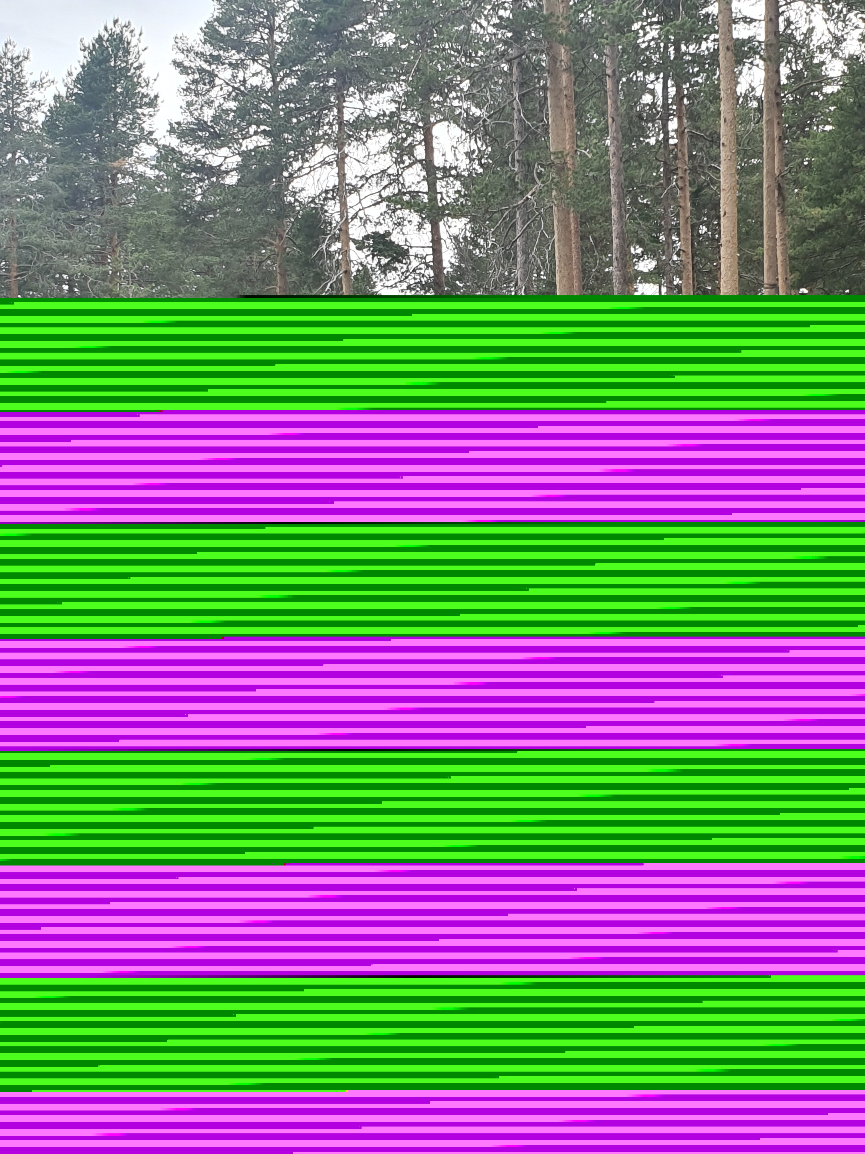 sykkelbane