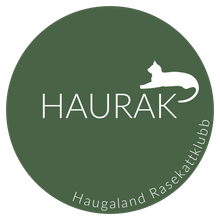 Haugaland Rasekattklubb
