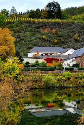 Blick von der Mosel auf das Haus Blick von der Mosel auf das Haus