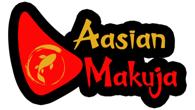 LOGO HAUSPALLEValmis.ai