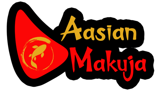 LOGO HAUSPALLEValmis.ai