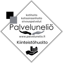 Palveluneliö2