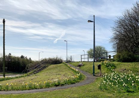 Hawthorn Steps