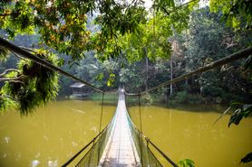 Borneo Camera 1