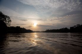 Borneo Camera 40