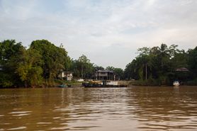 Borneo Camera 41