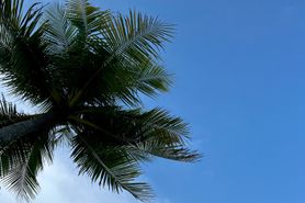 IMG_8030