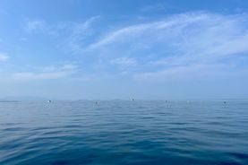 IMG_8094