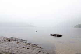 20150805_50