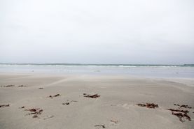 20150527_3