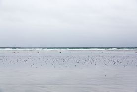 20150527_6