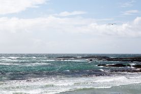 20150528_25