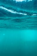 IMG_0989