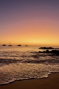 IMG_1596