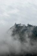 IMG_8474