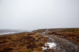 20140326-LN9A0180