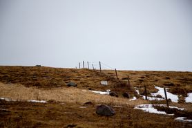 20140326-LN9A0188