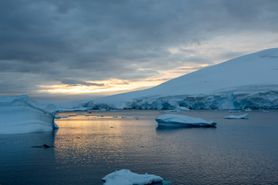 101 Antarctica2025