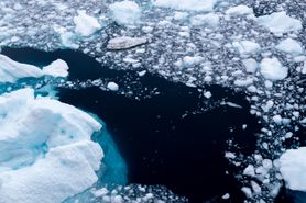 105 Antarctica2025