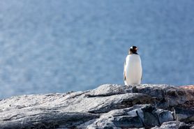 122 Antarctica2025