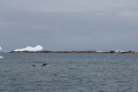 18 Antarctica2025