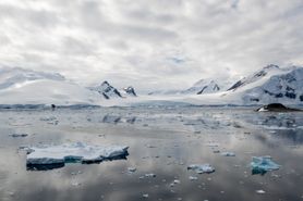 43 Antarctica2025