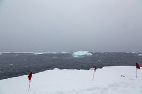 5 Antarctica2025