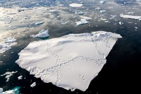 72 Antarctica2025