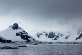 82 Antarctica2025