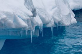 83 Antarctica2025