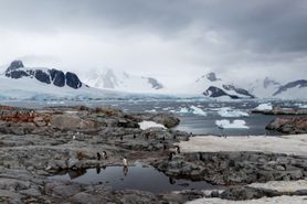 92 Antarctica2025