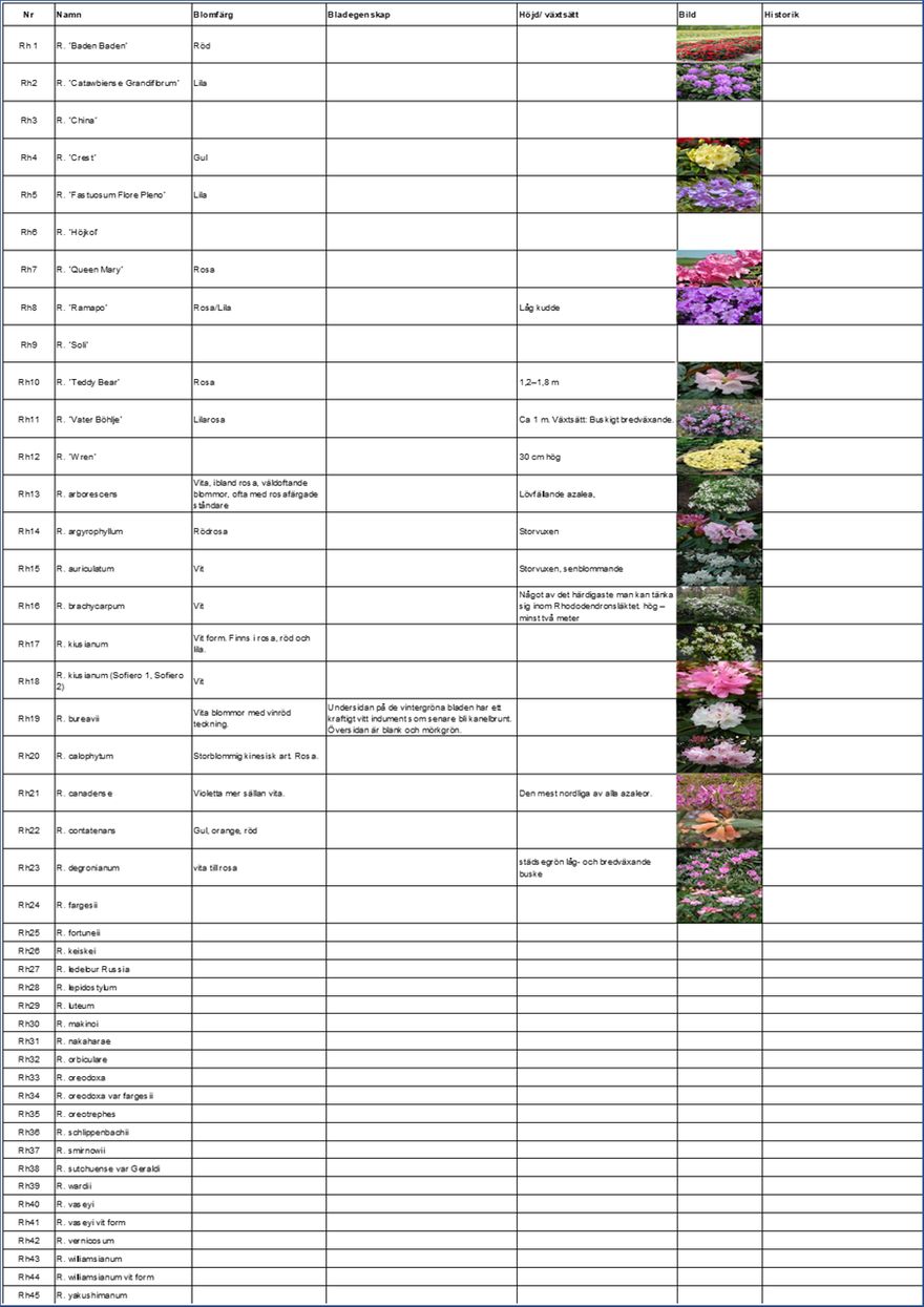 Växtförteckning Rhododendron, Hildings Have
