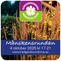 MÅNSKENSRUNDAN 2025
