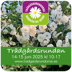 TRÄDGÅRDSRUNDAN 2025