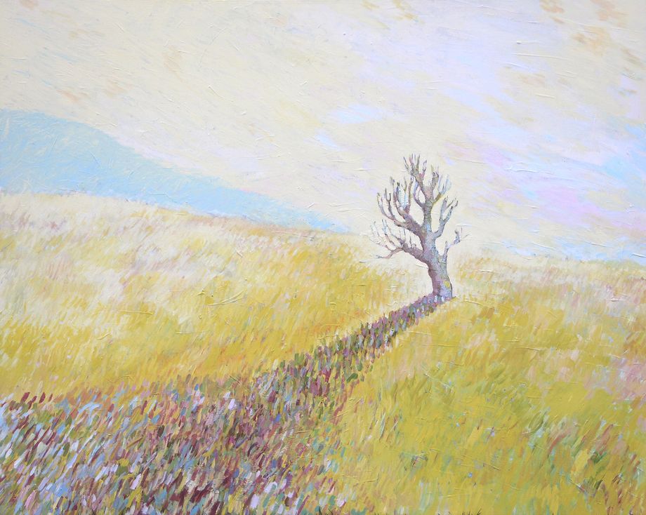 Landet The Country small___serialized1