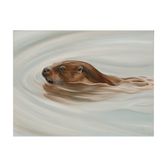 Otmoor Otter