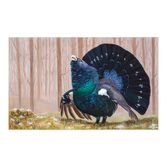 Red List - Capercaillie
