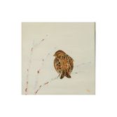 Reed Bunting