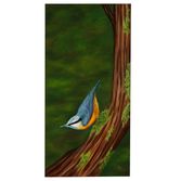 Noss Nuthatch