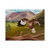 Common Buzzard on the Fells