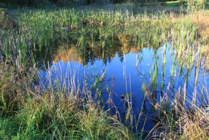 Stille, stille, høststille dam