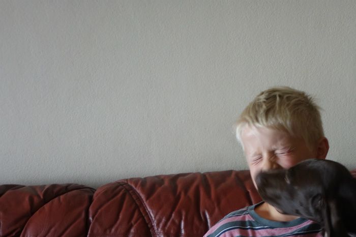 






Håkon er min aller beste venn. Når han ligger på gulvet og leker med meg, blir jeg fullstendig vill. Kjempegøy. 6.8.2013
