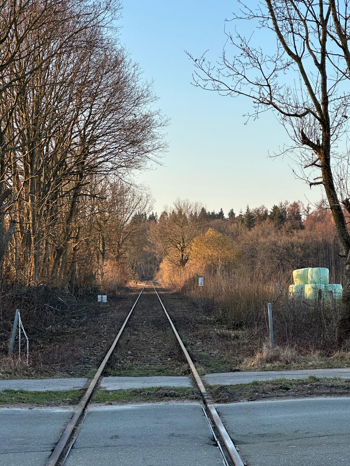 IMG-20260305-WA0003