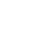 Software Entwicklung