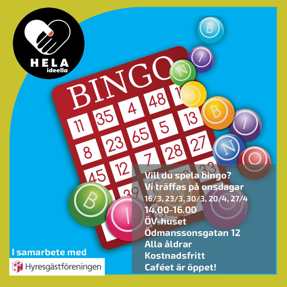 bingo 220311